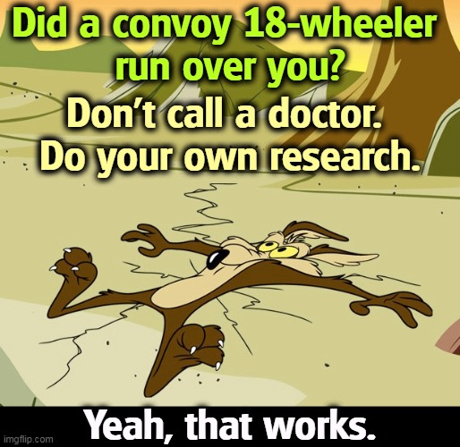 Did a convoy 18-wheeler 
run over you? Don't call a doctor. 
Do your own research. Yeah, that works. | image tagged in truck,run,over,doctor,research | made w/ Imgflip meme maker