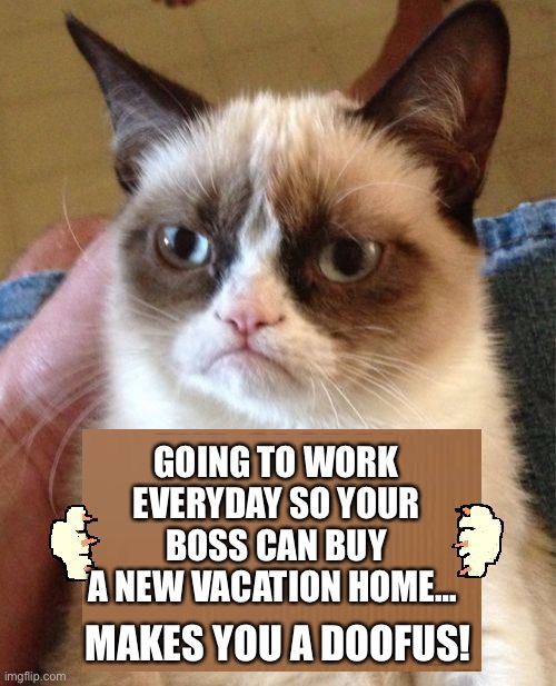 Going To Work Everyday So Your Boss Can Buy A New Vacation Home…  Makes You A Doofus! | GOING TO WORK EVERYDAY SO YOUR BOSS CAN BUY A NEW VACATION HOME…; MAKES YOU A DOOFUS! | image tagged in grumpy cat cardboard sign,thug life,life hack,life lessons,like a boss | made w/ Imgflip meme maker