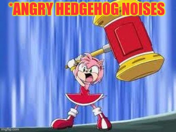 Angry Amy Rose | *ANGRY HEDGEHOG NOISES | image tagged in angry amy rose | made w/ Imgflip meme maker