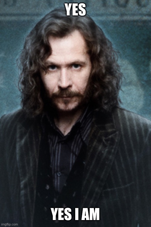 Sirius Black | YES YES I AM | image tagged in sirius black | made w/ Imgflip meme maker