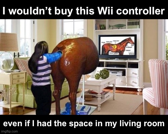 How do you level up? Nevermind, I don’t want to know! | I wouldn’t buy this Wii controller; even if I had the space in my living room | image tagged in funny memes,wii,vet training | made w/ Imgflip meme maker