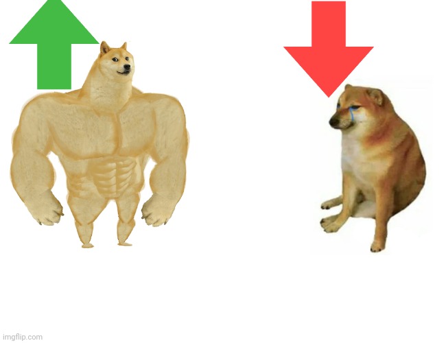 Buff Doge vs. Cheems | image tagged in memes,buff doge vs cheems | made w/ Imgflip meme maker
