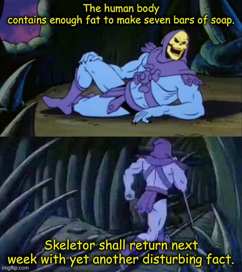 Did you know...? | The human body contains enough fat to make seven bars of soap. Skeletor shall return next week with yet another disturbing fact. | image tagged in skeletor disturbing facts,memes,funny,facts,the more you know,soap | made w/ Imgflip meme maker