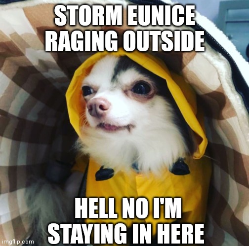 Storm Eunice | STORM EUNICE RAGING OUTSIDE; HELL NO I'M STAYING IN HERE | image tagged in memes,funny memes | made w/ Imgflip meme maker
