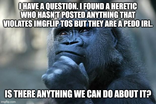 Question | I HAVE A QUESTION. I FOUND A HERETIC WHO HASN'T POSTED ANYTHING THAT VIOLATES IMGFLIP TOS BUT THEY ARE A PEDO IRL. IS THERE ANYTHING WE CAN DO ABOUT IT? | image tagged in deep thoughts | made w/ Imgflip meme maker