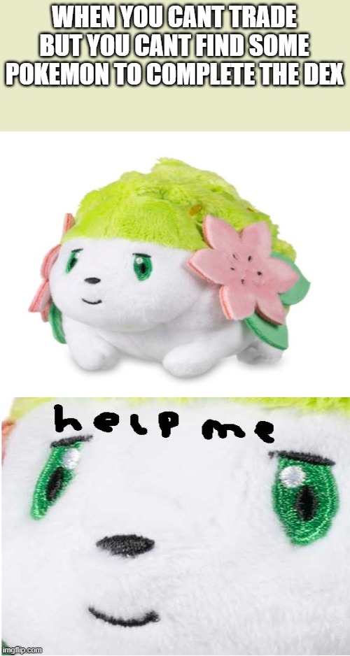 *internal screaming* | WHEN YOU CANT TRADE BUT YOU CANT FIND SOME POKEMON TO COMPLETE THE DEX | image tagged in help me shaymin sitting cutie | made w/ Imgflip meme maker