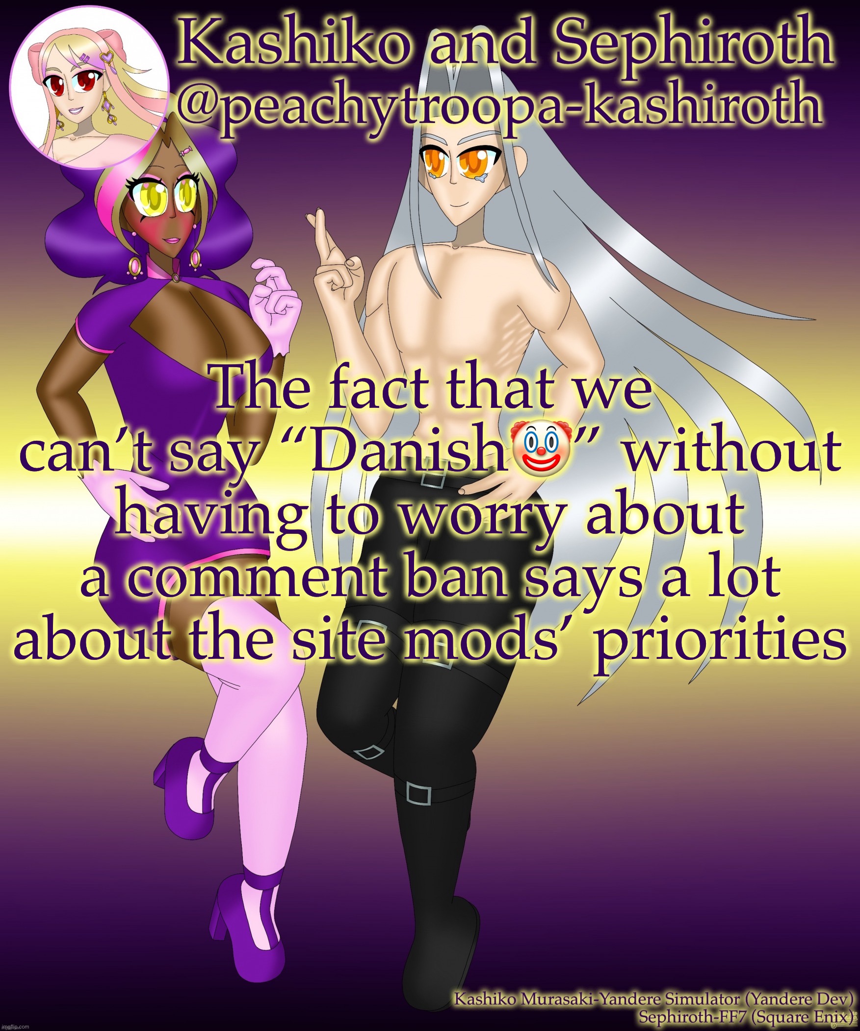 Kashiko Murasaki and Sephiroth | The fact that we can’t say “Danish🤡” without having to worry about a comment ban says a lot about the site mods’ priorities | image tagged in kashiko murasaki and sephiroth | made w/ Imgflip meme maker