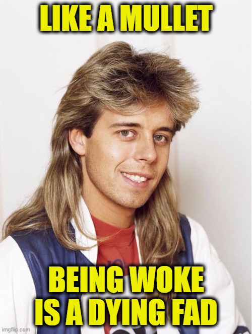 Mullet |  LIKE A MULLET; BEING WOKE
IS A DYING FAD | image tagged in woke | made w/ Imgflip meme maker