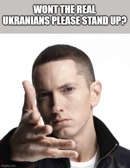 Eminem video game logic | WONT THE REAL UKRANIANS PLEASE STAND UP? | image tagged in eminem video game logic | made w/ Imgflip meme maker