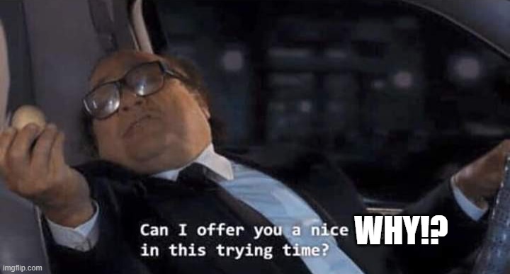 Can I offer you a nice egg in this trying time? | WHY!? | image tagged in can i offer you a nice egg in this trying time | made w/ Imgflip meme maker