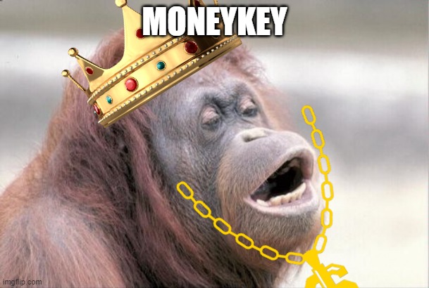 Moneykey | MONEYKEY | image tagged in memes,monkey ooh | made w/ Imgflip meme maker