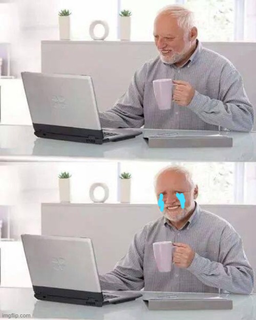 Hide the Pain Harold Meme | image tagged in memes,hide the pain harold | made w/ Imgflip meme maker