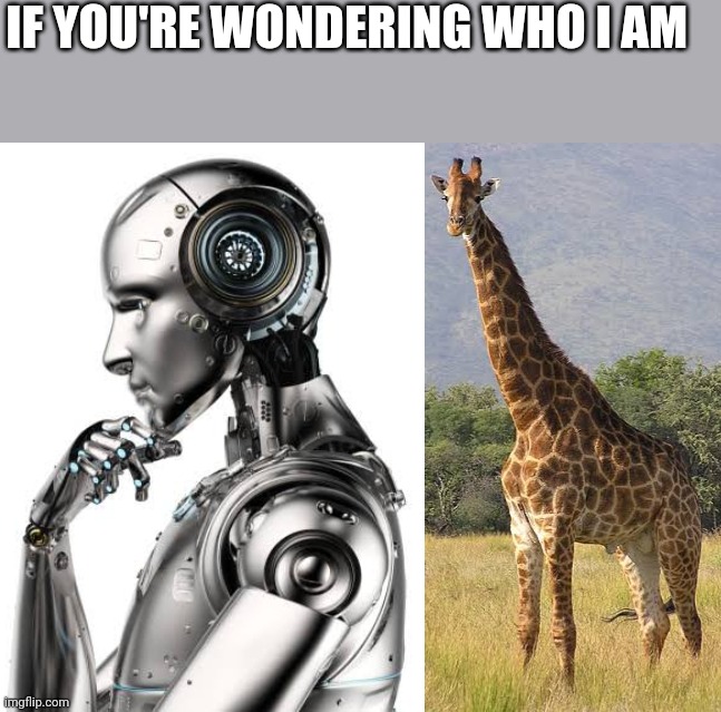 IF YOU'RE WONDERING WHO I AM | made w/ Imgflip meme maker