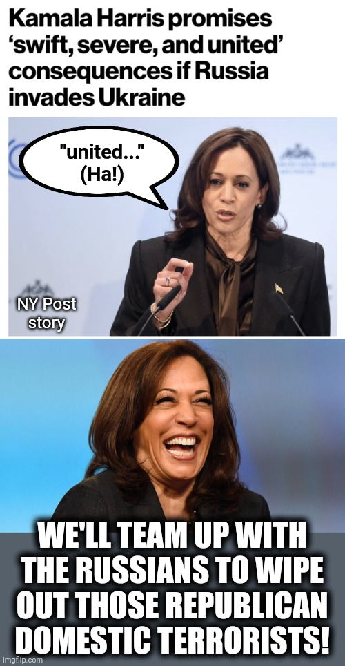 Again with "united" | "united..."
(Ha!); NY Post
story; WE'LL TEAM UP WITH THE RUSSIANS TO WIPE
OUT THOSE REPUBLICAN DOMESTIC TERRORISTS! | image tagged in memes,kamala harris,democrats,domestic terrorists,russians,united | made w/ Imgflip meme maker