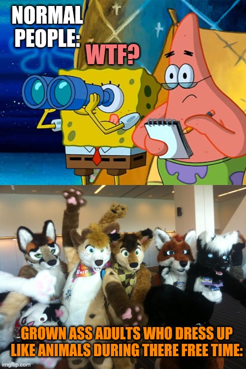 I just don't get it, but like I guess you do you fam just don't get me involved |  NORMAL PEOPLE:; WTF? GROWN ASS ADULTS WHO DRESS UP LIKE ANIMALS DURING THERE FREE TIME: | image tagged in spy,furries | made w/ Imgflip meme maker