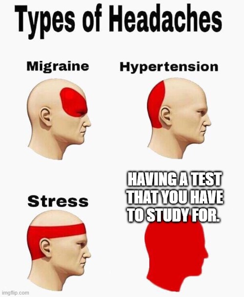 Headaches |  HAVING A TEST THAT YOU HAVE TO STUDY FOR. | image tagged in headaches | made w/ Imgflip meme maker