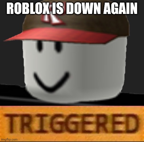 NOOOOOOOOO | ROBLOX IS DOWN AGAIN | image tagged in roblox triggered | made w/ Imgflip meme maker