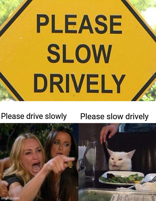 Please slow drively | Please drive slowly; Please slow drively | image tagged in memes,woman yelling at cat,you had one job,reposts,repost,funny signs | made w/ Imgflip meme maker