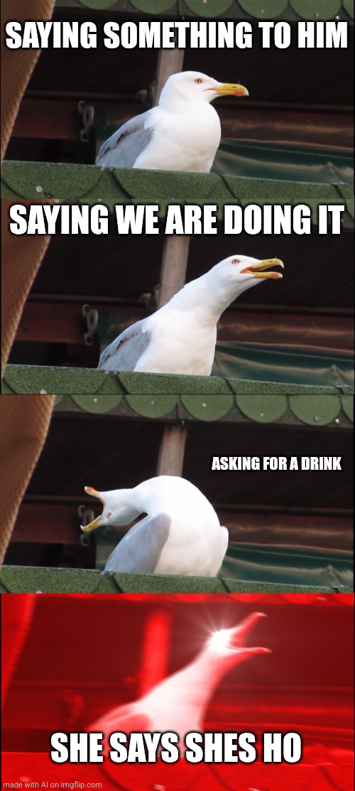 Inhaling Seagull Meme | SAYING SOMETHING TO HIM; SAYING WE ARE DOING IT; ASKING FOR A DRINK; SHE SAYS SHES HO | image tagged in memes,inhaling seagull | made w/ Imgflip meme maker