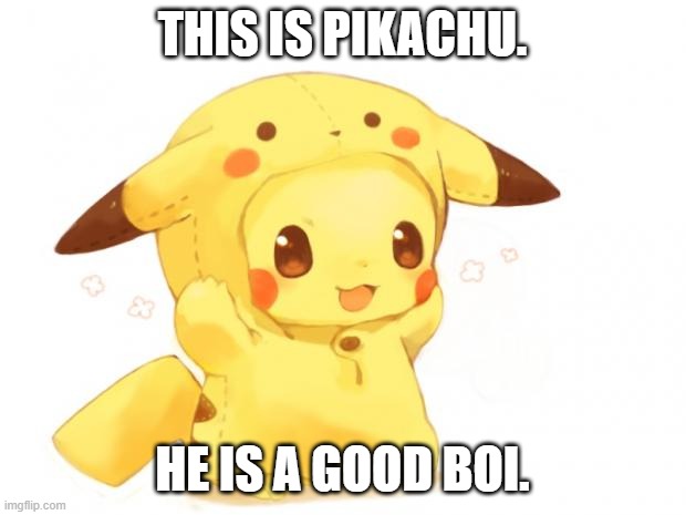 Good Boi, Pika. | THIS IS PIKACHU. HE IS A GOOD BOI. | image tagged in pikachu | made w/ Imgflip meme maker