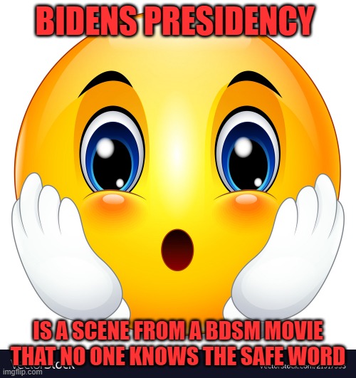 surprise | BIDENS PRESIDENCY; IS A SCENE FROM A BDSM MOVIE THAT NO ONE KNOWS THE SAFE WORD | image tagged in surprise | made w/ Imgflip meme maker