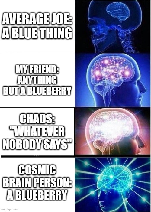 what is this blue thing? wrong answers only. | AVERAGE JOE: A BLUE THING; MY FRIEND: ANYTHING BUT A BLUEBERRY; CHADS: "WHATEVER NOBODY SAYS"; COSMIC BRAIN PERSON: A BLUEBERRY | image tagged in memes,expanding brain | made w/ Imgflip meme maker