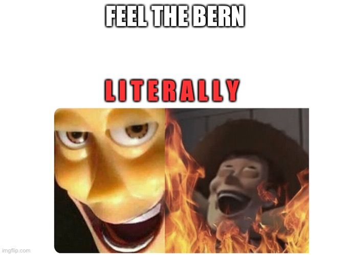 Satanic Woody | FEEL THE BERN L I T E R A L L Y | image tagged in satanic woody | made w/ Imgflip meme maker