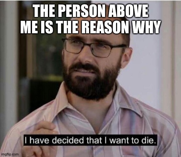 not really, but an excuse to say goodbye. | THE PERSON ABOVE ME IS THE REASON WHY | image tagged in i have decided that i want to die | made w/ Imgflip meme maker