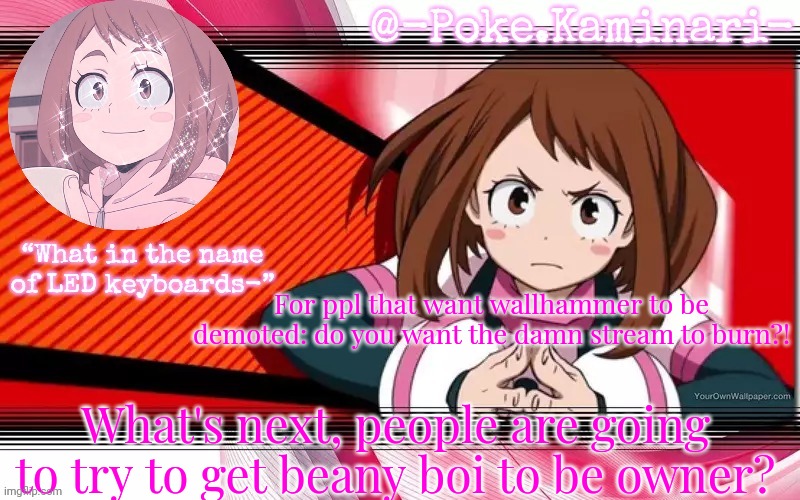 He is one of the main reasons msmg isn't in ruins | For ppl that want wallhammer to be demoted: do you want the damn stream to burn?! What's next, people are going to try to get beany boi to be owner? | image tagged in poke's ochaco uraraka temp,some of you,are the reason,toothpaste has instructions | made w/ Imgflip meme maker