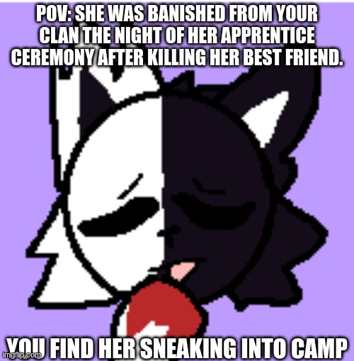 Her name's Splitpaw, btw | POV: SHE WAS BANISHED FROM YOUR CLAN THE NIGHT OF HER APPRENTICE CEREMONY AFTER KILLING HER BEST FRIEND. YOU FIND HER SNEAKING INTO CAMP | image tagged in warrior cats | made w/ Imgflip meme maker