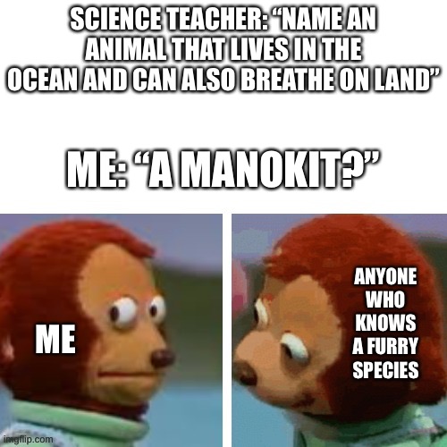 Whoops. | SCIENCE TEACHER: “NAME AN ANIMAL THAT LIVES IN THE OCEAN AND CAN ALSO BREATHE ON LAND”; ME: “A MANOKIT?”; ANYONE WHO KNOWS A FURRY SPECIES; ME | image tagged in what did you say,furry,furry memes,the furry fandom,school meme | made w/ Imgflip meme maker