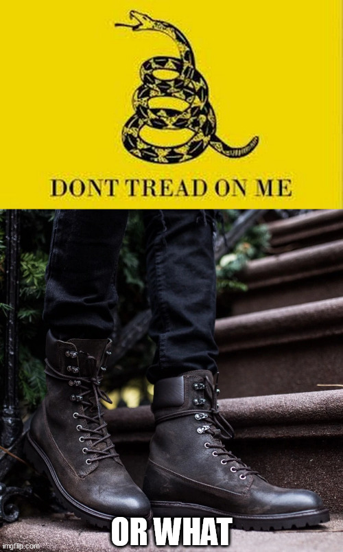 Seriously | OR WHAT | image tagged in don't tread on me,or what | made w/ Imgflip meme maker