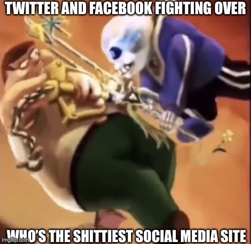 PETER GO | TWITTER AND FACEBOOK FIGHTING OVER; WHO’S THE SHITTIEST SOCIAL MEDIA SITE | image tagged in peter and sans fighting | made w/ Imgflip meme maker