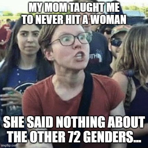 Never hit a woman | MY MOM TAUGHT ME TO NEVER HIT A WOMAN; SHE SAID NOTHING ABOUT THE OTHER 72 GENDERS... | image tagged in gender outrage | made w/ Imgflip meme maker