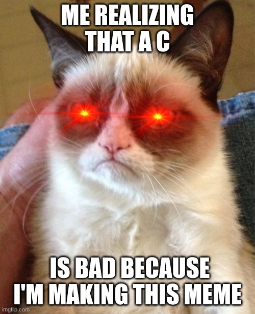 I'm makeing this because I'm bord | ME REALIZING THAT A C; IS BAD BECAUSE I'M MAKING THIS MEME | image tagged in memes,grumpy cat | made w/ Imgflip meme maker