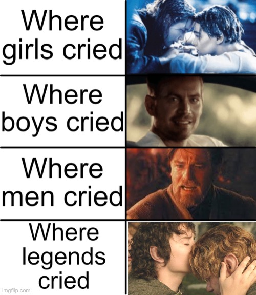 [no one liked that] | image tagged in lord of the rings,sad,frodo | made w/ Imgflip meme maker