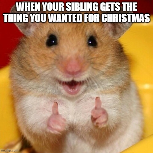 When your sibling gets something you wanted | WHEN YOUR SIBLING GETS THE THING YOU WANTED FOR CHRISTMAS | image tagged in okay,funny memes | made w/ Imgflip meme maker