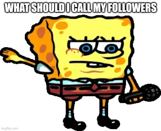 Spong | WHAT SHOULD I CALL MY FOLLOWERS | image tagged in spong | made w/ Imgflip meme maker