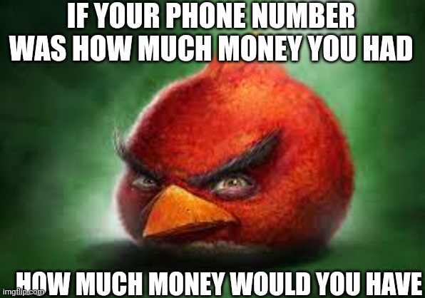 Realistic Red Angry Birds | IF YOUR PHONE NUMBER WAS HOW MUCH MONEY YOU HAD; HOW MUCH MONEY WOULD YOU HAVE | image tagged in realistic red angry birds | made w/ Imgflip meme maker