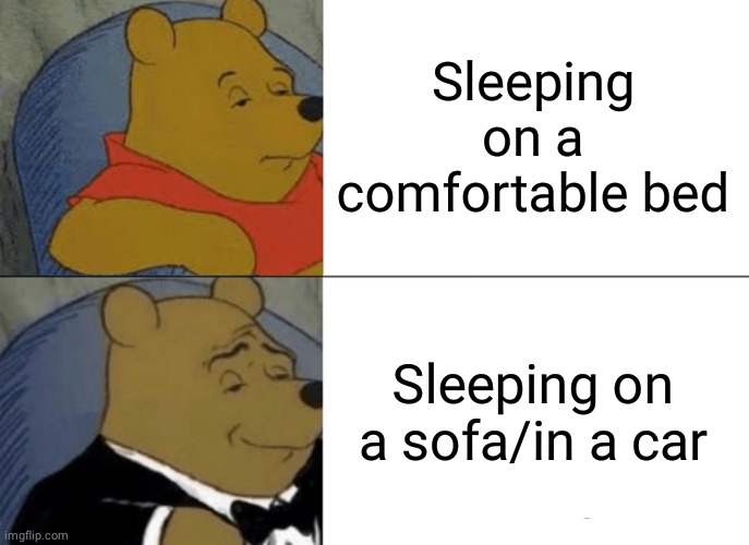 Sleep | Sleeping on a comfortable bed; Sleeping on a sofa/in a car | image tagged in memes,tuxedo winnie the pooh | made w/ Imgflip meme maker