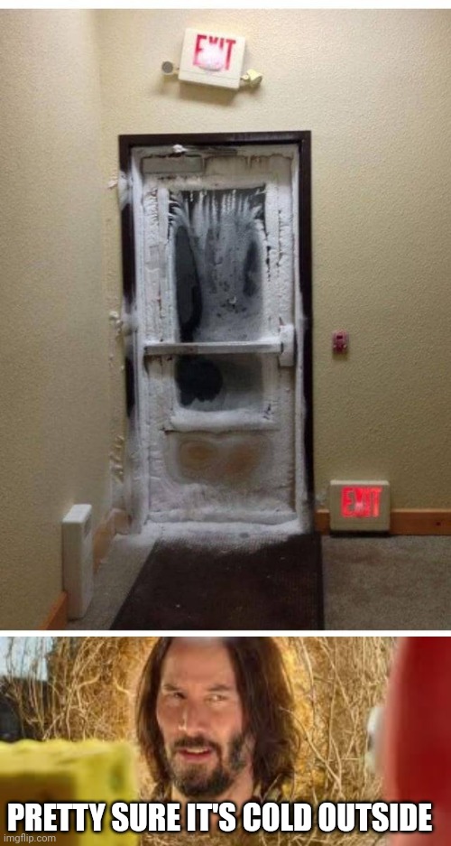 DON'T GO OUT THAT DOOR |  PRETTY SURE IT'S COLD OUTSIDE | image tagged in pretty sure it doesn't,winter,freezing cold | made w/ Imgflip meme maker