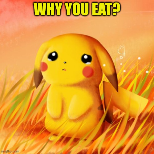 Sad Pikachu | WHY YOU EAT? | image tagged in sad pikachu | made w/ Imgflip meme maker
