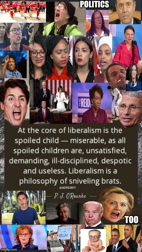 Liberalism | POLITICS; TOO | image tagged in liberals,democrats,stupid liberals,memes,democratic party | made w/ Imgflip meme maker