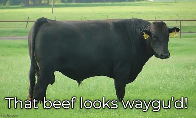 That beef looks waygu’d! | made w/ Imgflip meme maker