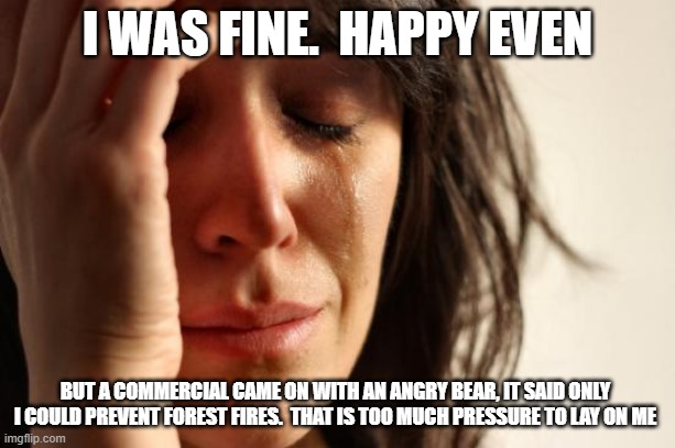 I can't take this on by myself | I WAS FINE.  HAPPY EVEN; BUT A COMMERCIAL CAME ON WITH AN ANGRY BEAR, IT SAID ONLY I COULD PREVENT FOREST FIRES.  THAT IS TOO MUCH PRESSURE TO LAY ON ME | image tagged in memes,first world problems,help me,i can't prevent forest fires,angry bear | made w/ Imgflip meme maker