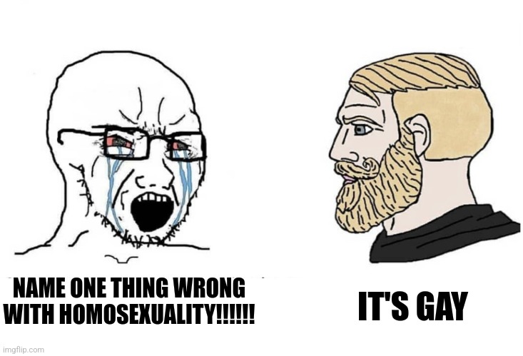 Homosexuality is Gay | IT'S GAY; NAME ONE THING WRONG WITH HOMOSEXUALITY!!!!!! | image tagged in chad,memes | made w/ Imgflip meme maker