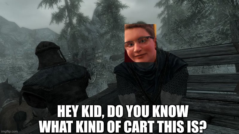 Skyrim Intro Meme. | HEY KID, DO YOU KNOW WHAT KIND OF CART THIS IS? | image tagged in skyrim intro meme | made w/ Imgflip meme maker