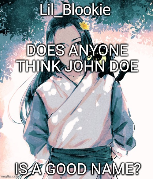 Lil_Blookie Legend of Luo xiao hei (thx bean) | DOES ANYONE THINK JOHN DOE; IS A GOOD NAME? | image tagged in lil_blookie legend of luo xiao hei thx bean | made w/ Imgflip meme maker