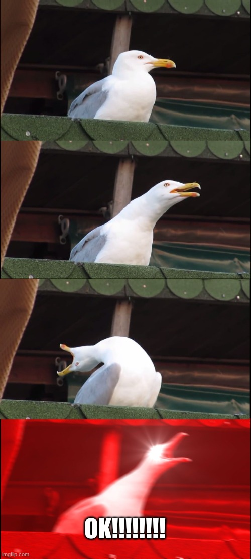 Inhaling Seagull | OK!!!!!!!! | image tagged in memes,inhaling seagull | made w/ Imgflip meme maker