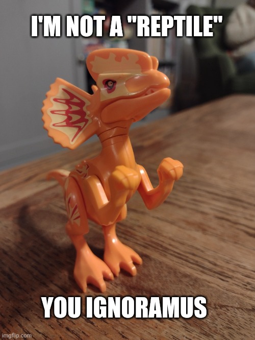Air Quote Dilophosaurus Sez | I'M NOT A "REPTILE"; YOU IGNORAMUS | image tagged in air quote dinosaur,air quote dilophosaurus,dinosaur | made w/ Imgflip meme maker
